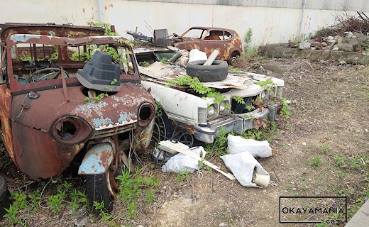 国道30号の草ヒロ