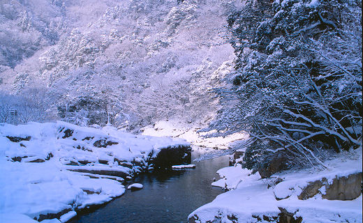 冬の奥津渓