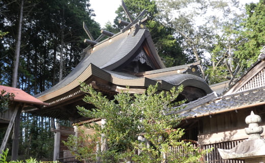山王松尾神社の本殿